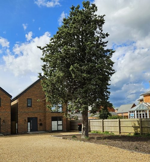 Recent Projects 20240416 153101